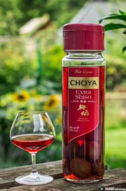 Choya Shiso