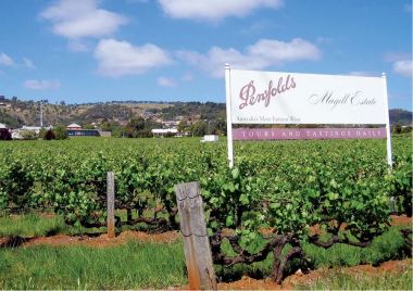 Vang Úc Penfolds Max's Chardonnay