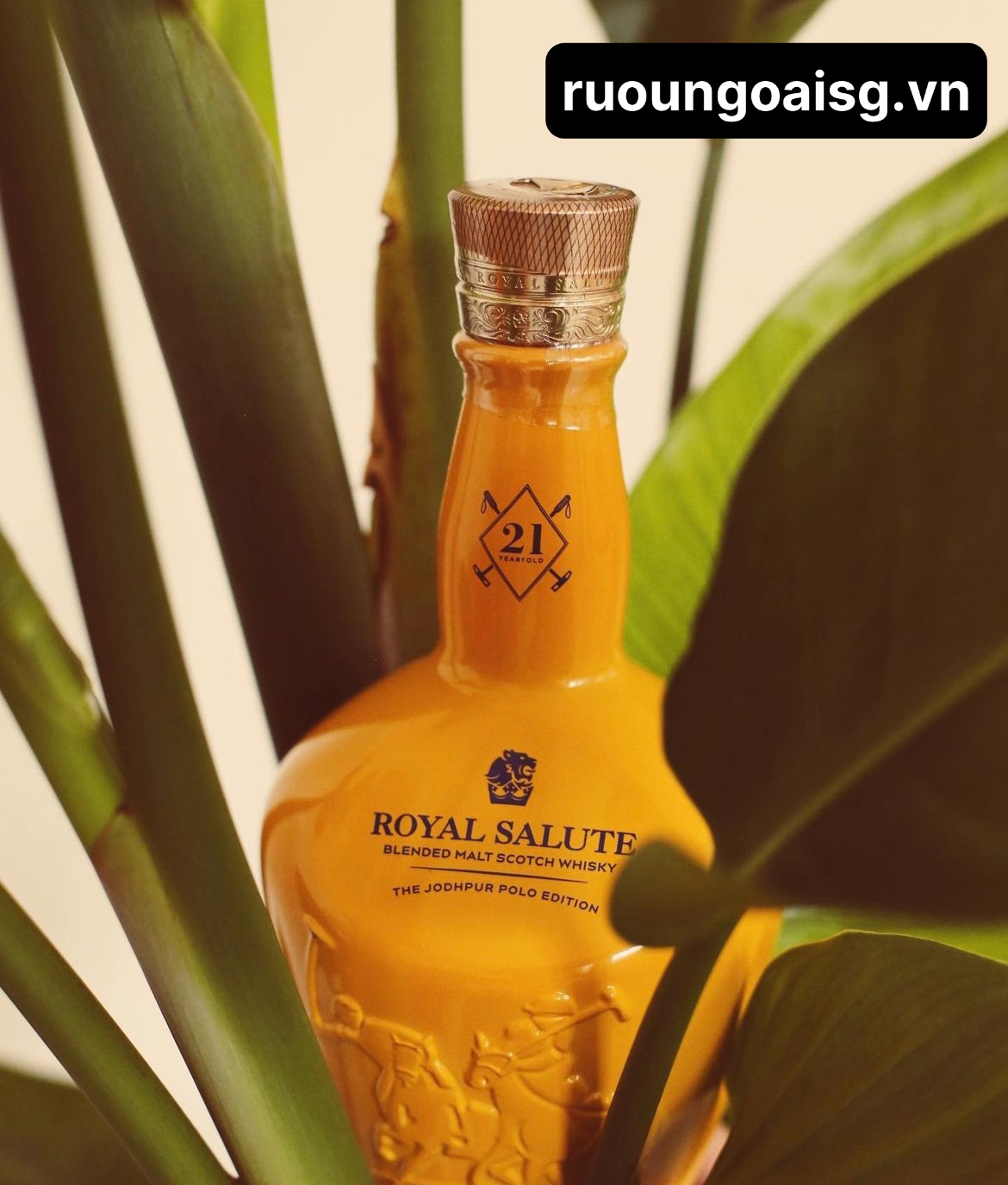 Chivas 21 Jodhpur Polo