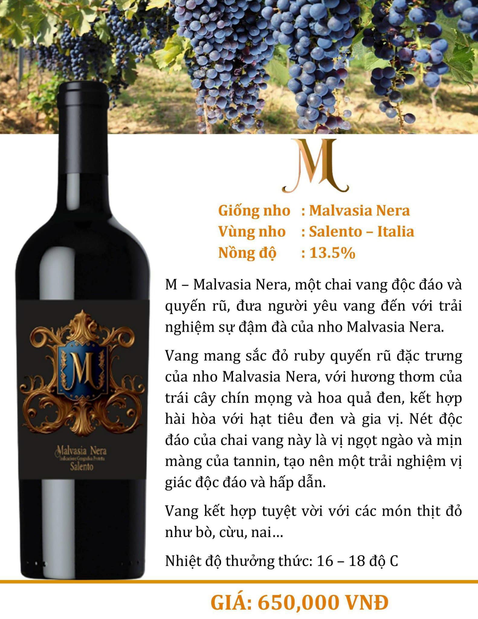Rượu vang Ý M Malvasia Nera Salento  